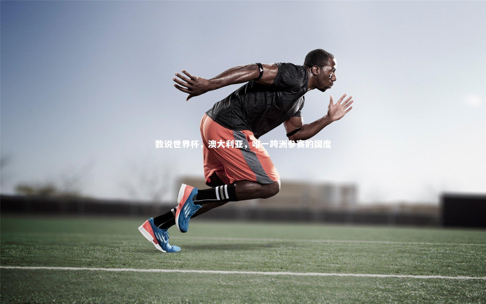 数说世界杯,澳大利亚,唯一跨洲参赛的国度