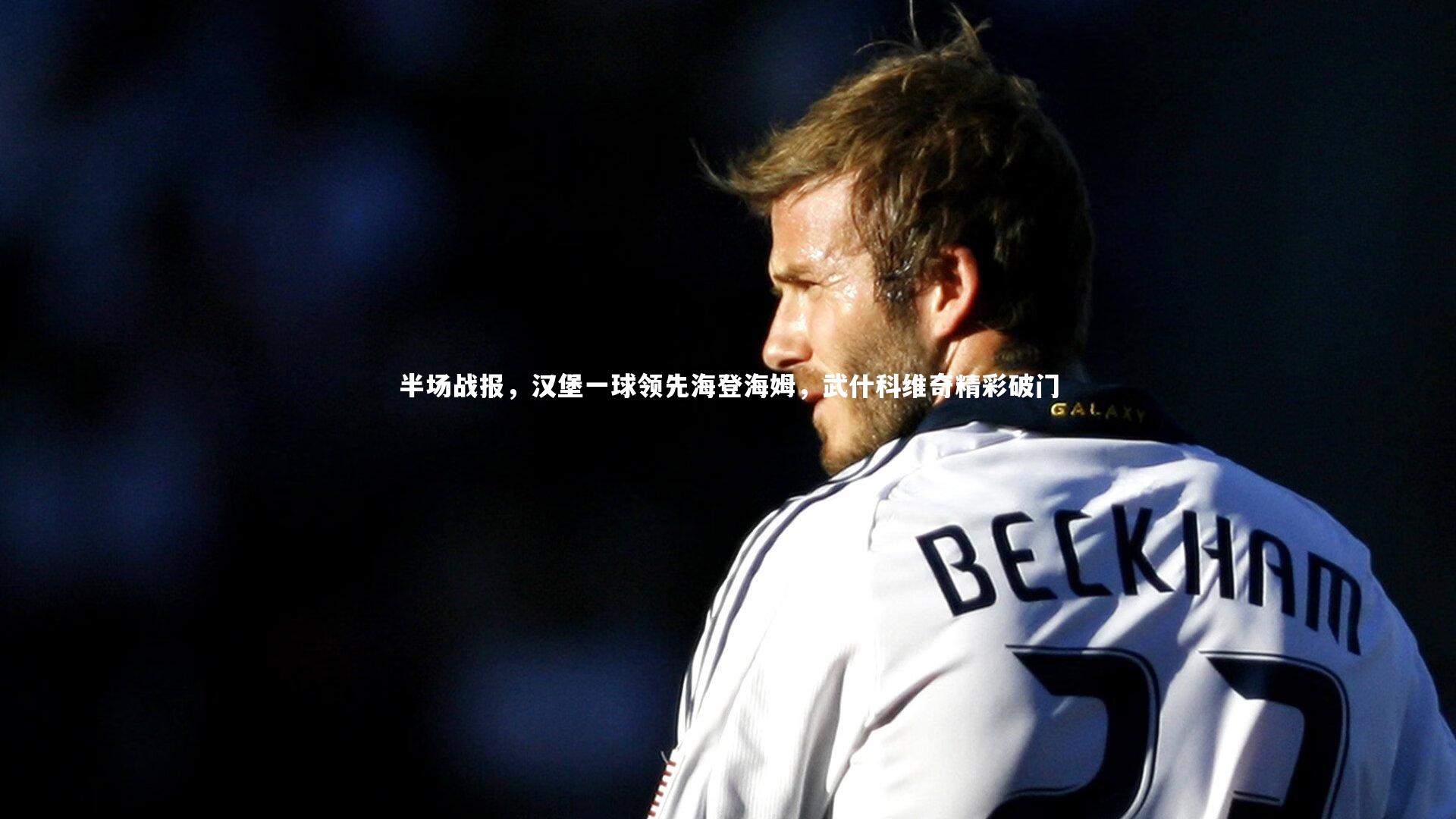 半场战报，汉堡一球领先海登海姆，武什科维奇精彩破门